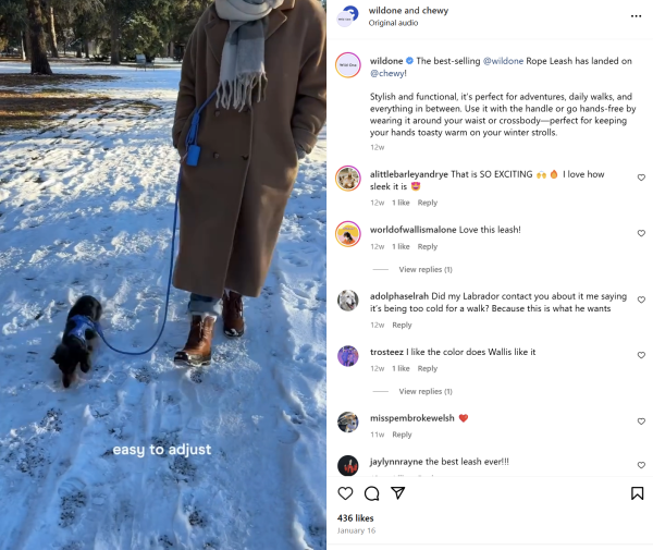 An Instagram post from Chewy showcasing their hands-free dog leash.