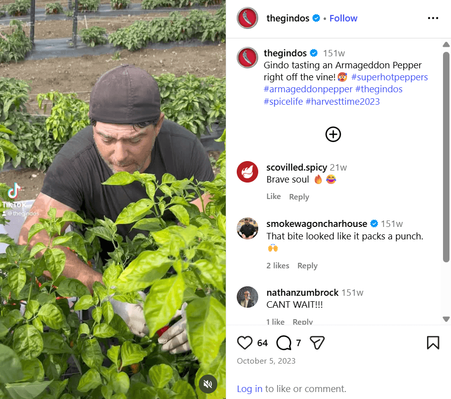 A screenshot of an Instagram reel by Gindo's Spice of Life showing one of the owners tasting an Armageddon chili pepper