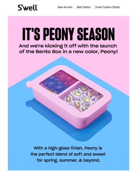 Product launch email marketing campaign from S'well.