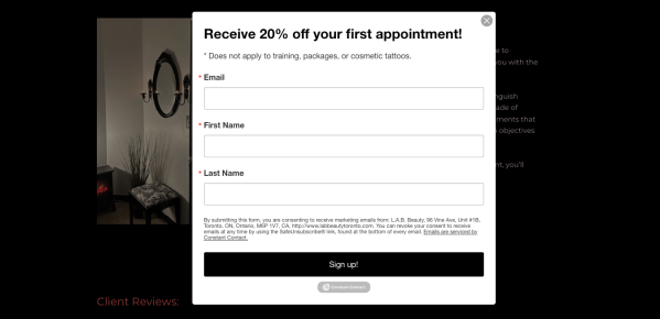 L.A.B. Beauty's highly successful website popup.