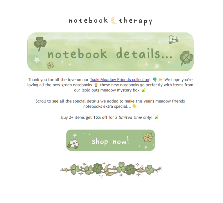 Notebook Therapy's email segmentation example