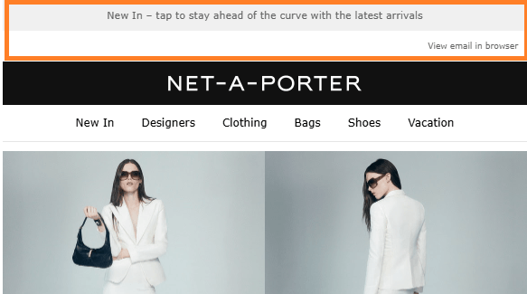 This image from NET-A-PORTER displays a compact email preheader featuring a "View in Browser" link and a link to their latest product drop. It also includes the brand logo, a navigation menu, and a model posing with the featured products.