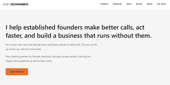 James Schramko's homepage uses a specific positioning statement to explain who his coaching is for and what clients can achieve. 
